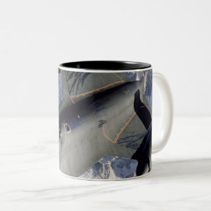 Tasse 2 Couleurs Joli espace