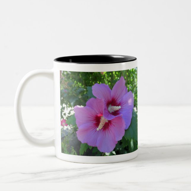 Tasse 2 Couleurs Jolie rose rose de Sharon Photo (Gauche)