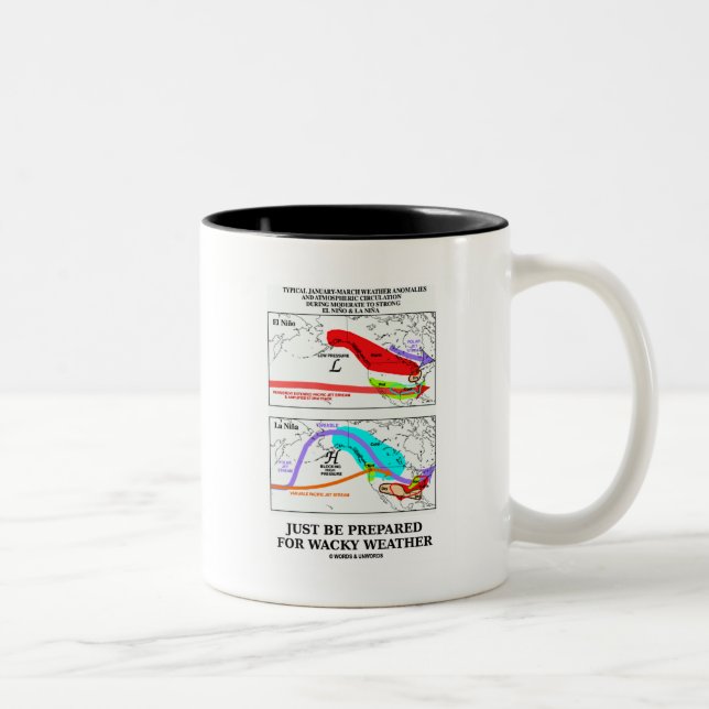 Tasse 2 Couleurs Juste soyez préparé pour le temps farfelu (Droit)