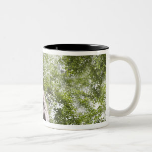 Tasse 2 Couleurs kalispell, Montana, Etats-Unis d'Amérique