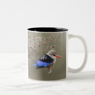 Tasse 2 Couleurs Kenya. Gros plan sur le martin-chasseur à tête gri