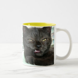 TASSE 2 COULEURS KIS KIS