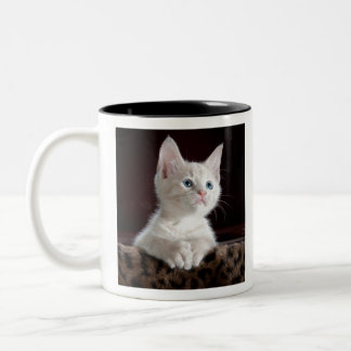 Tasse 2 Couleurs kittens