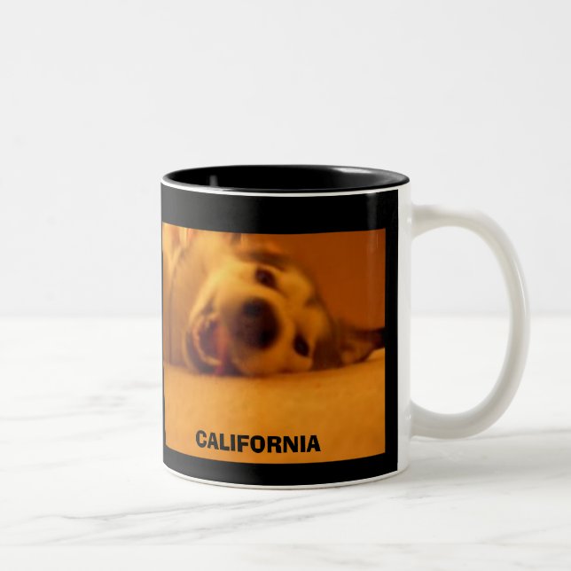 TASSE 2 COULEURS LA CALIFORNIE (Droit)