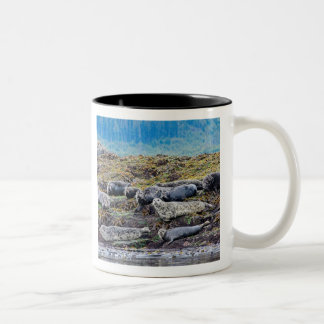 Tasse 2 Couleurs La famille des lions de mer