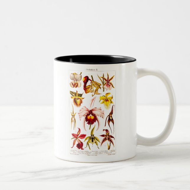 Tasse 2 Couleurs La fleur 1911 d'orchidée de cru fleurit (Droit)