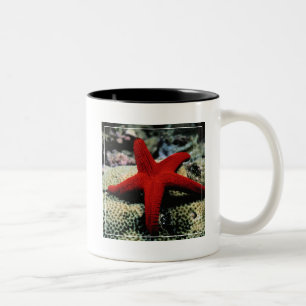Tasse 2 Couleurs La Mer Rouge des poissons d'étoile