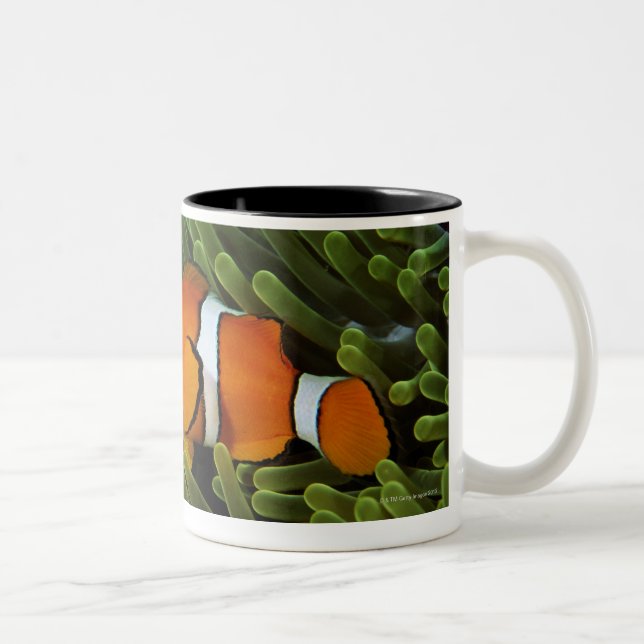 Tasse 2 Couleurs La Papouasie-Nouvelle-Guinée, anemonefish faux de (Droit)