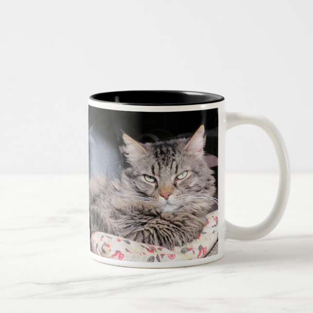 Tasse 2 Couleurs La Race Humaine Devrait Savoir Mieux (Droit)