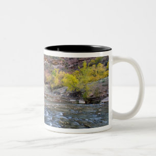 Tasse 2 Couleurs La rivière Virgin en automne dans le Parc national