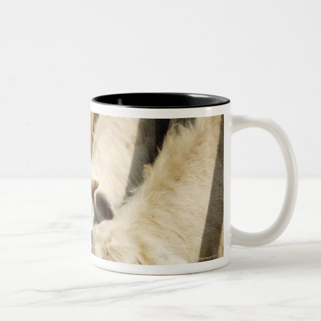 Tasse 2 Couleurs La Sicile, Italie (Droit)