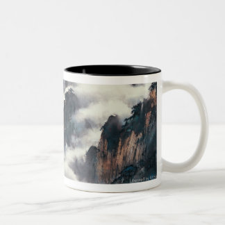 TASSE 2 COULEURS LA TA HUANG SHAN
