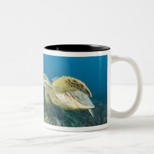 Tasse 2 Couleurs La tortue verte, (Chelonia mydas), est le
