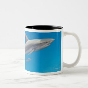 Tasse 2 Couleurs La vie sous-marine : Natation de perezi de