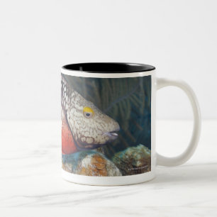 Tasse 2 Couleurs La vie sous-marine, POISSON : un feu d'arrêt