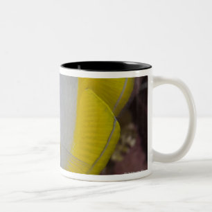 Tasse 2 Couleurs La vie sous-marine, POISSON : Un tropical coloré