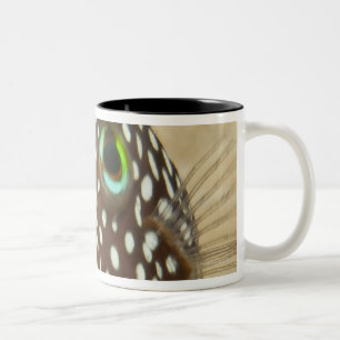 Tasse 2 Couleurs La vie sous-marine ; POISSONS : Portrait en gros