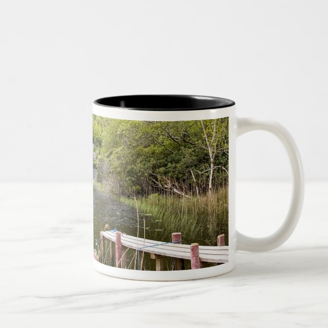Tasse 2 Couleurs L'abbaye de Kylemore, Irlande. L'abbaye de Kylemor (Droit)