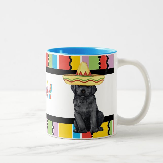 Tasse 2 Couleurs Laboratoire noir Fiesta (Droit)