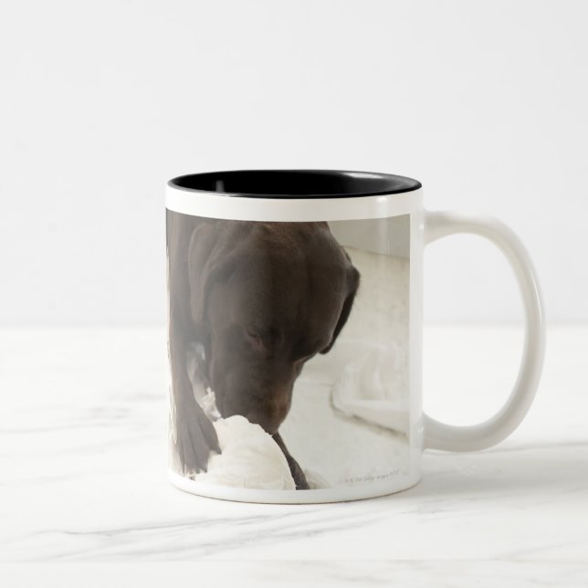Tasse 2 Couleurs Labrador brun chocolat (Droit)
