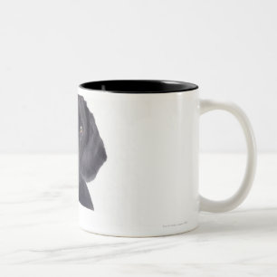 Tasse 2 Couleurs Labrador noir 13 mois