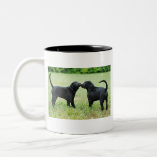 Tasse 2 Couleurs Labrador retriever noir