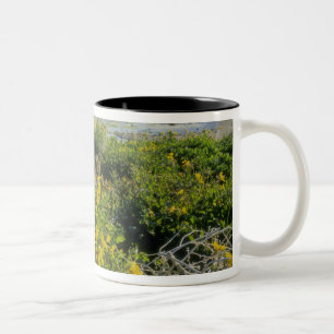 Tasse 2 Couleurs LAC OURS, UT, États-Unis, fleur de monkey & tumble