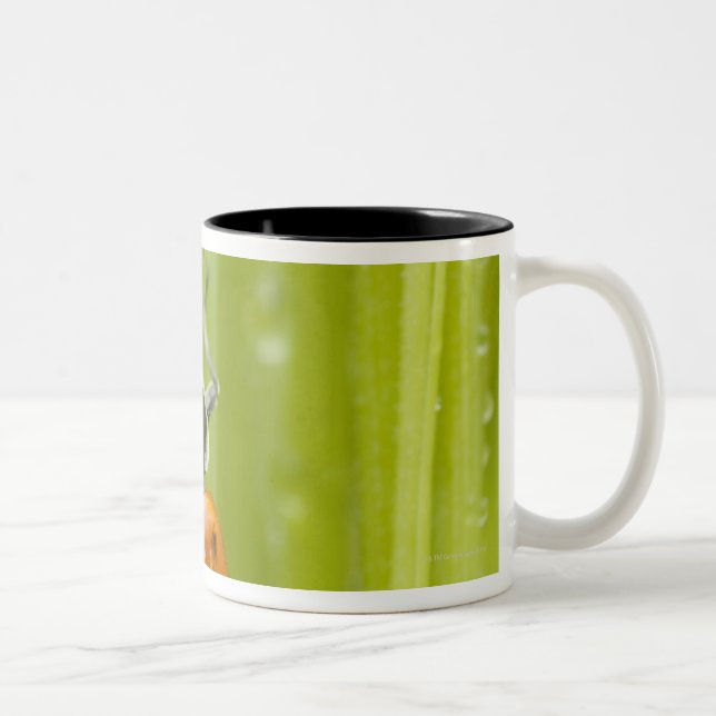 Tasse 2 Couleurs Ladybird sur l'herbe, plan rapproché (Droit)