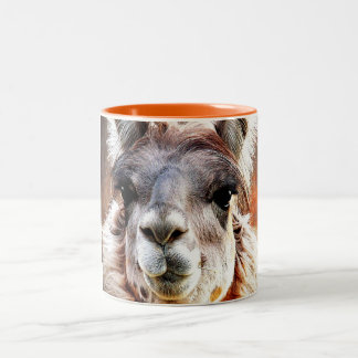 Tasse 2 Couleurs Lama