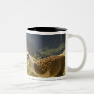 Tasse 2 Couleurs Lamas et un regard sur Machu Picchu,