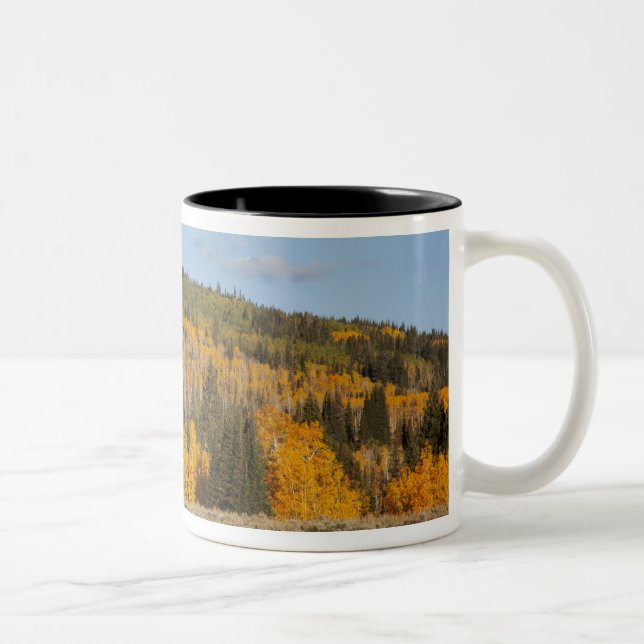 Tasse 2 Couleurs Lambert Hollow, peupliers (Droit)
