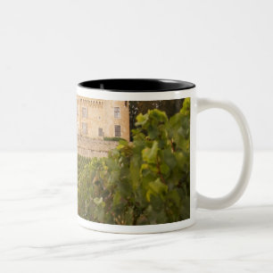 Tasse 2 Couleurs L'ancien château médiéval de Rully dans la Cote
