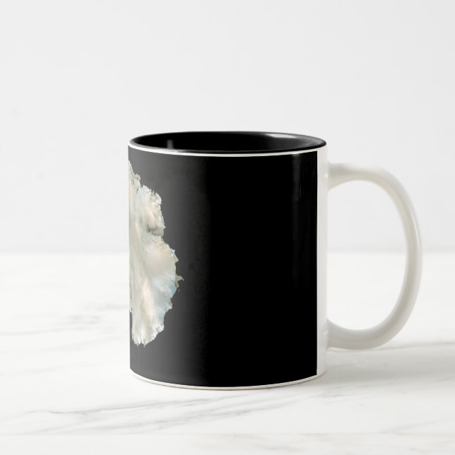Tasse 2 Couleurs L'Antarctique (Droit)