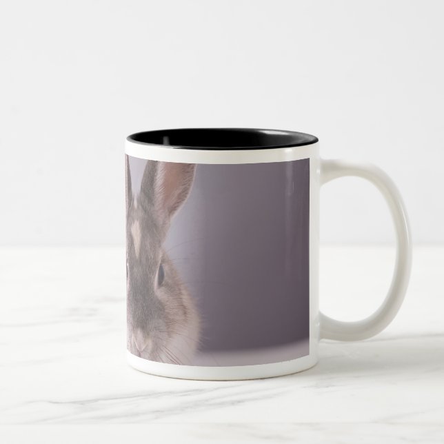 Tasse 2 Couleurs lapin, arrière - plan simple, animal, table (Droit)