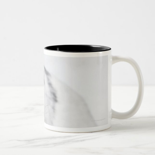 Tasse 2 Couleurs Lapin blanc, noir et brun (Droit)