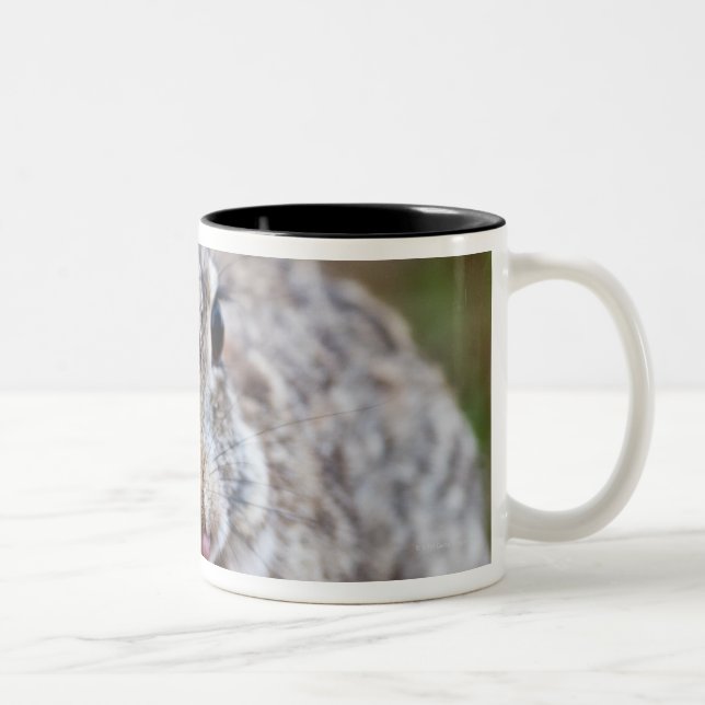 Tasse 2 Couleurs Lapin de lapin du Texas (Droit)
