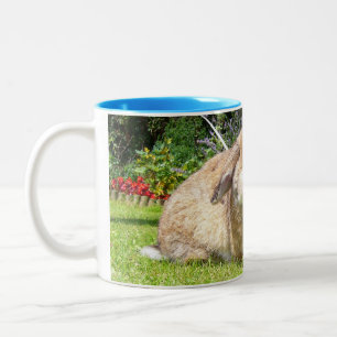 Tasse 2 Couleurs Lapin d'oreille taillé par brun avec la lavande