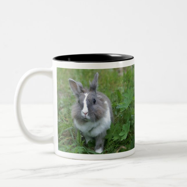 Tasse 2 Couleurs Lapin lapin (Gauche)