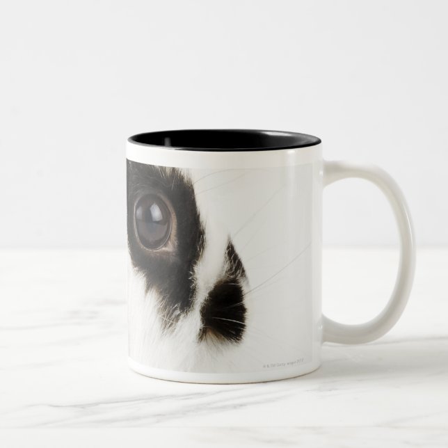 Tasse 2 Couleurs Lapin Wooly du Jersey (Droit)