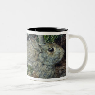Tasse 2 Couleurs Lapins