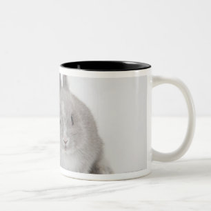 Tasse 2 Couleurs Lapins de nain et de la Hollande Lop de deux