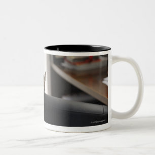 Tasse 2 Couleurs L'apparence principale du chat d'une chaise de