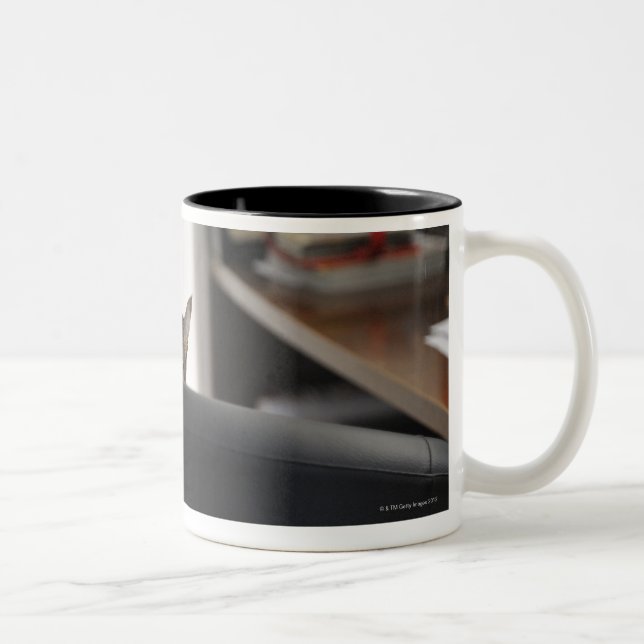 Tasse 2 Couleurs L'apparence principale du chat d'une chaise de (Droit)