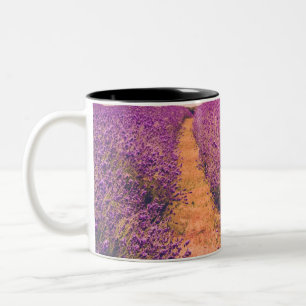 Tasse 2 Couleurs Lavander