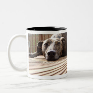 Tasse 2 Couleurs Lazy Lurcher