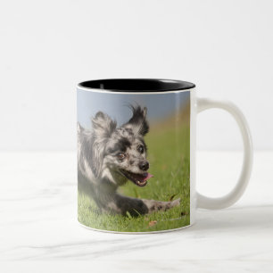 Tasse 2 Couleurs Le berger pyrénéen va autour du poteau