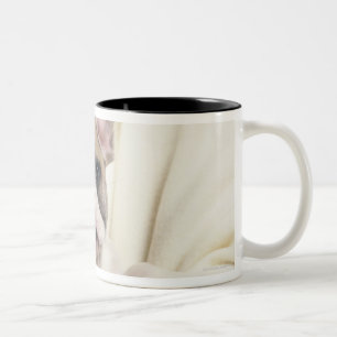 Tasse 2 Couleurs Le bouledogue, souvent appelé le bouledogue