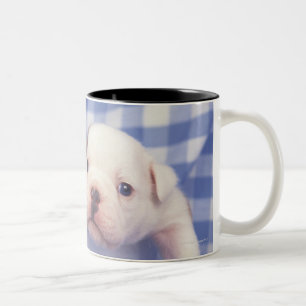 Tasse 2 Couleurs Le bouledogue, souvent appelé le bouledogue
