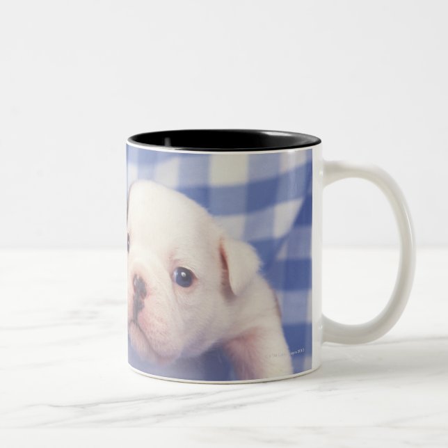 Tasse 2 Couleurs Le bouledogue, souvent appelé le bouledogue (Droit)
