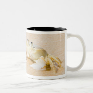 Tasse 2 Couleurs Le Brésil, Rio de Janeiro, Buzios, crabe dessus